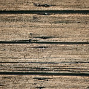 Wood Texture
