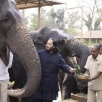தனியார் மிருகக்காட்சிசாலை தொடர்பாக அம்பானியின் மகன் மீது விசாரணை!