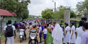 கிளிநொச்சியில்-குளவி-கொட்டுக்கு-இலக்கி-39-மாணவர்கள்-மருத்துவமனையில்-அனுமதி