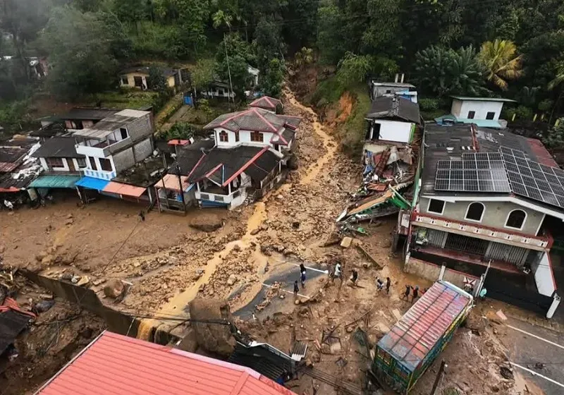 டித்வா புயலினால் சேதமடைந்த பண்ணைகளுக்கு இழப்பீடு !