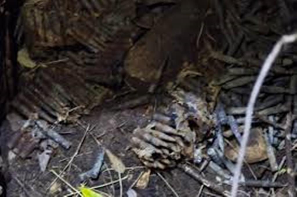 யாழ்.போதனா வைத்தியசாலைக்கு அண்மித்த பகுதியில் வெடிபொருட்கள் மீட்பு