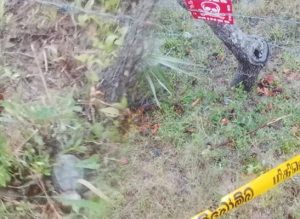 கிளிநொச்சி பகுதியில் இனங்காணப்பட்ட வெடிக்காத கைக்குண்டு!