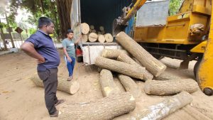 முல்லைத்தீவில் முதிரை மரக்குற்றிகளை யாழ்ப்பாணத்திற்கு கடத்தியவர் கைது