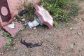 யாழில்  விபத்து : இரு இளைஞர்கள் பலி