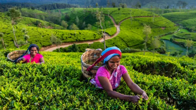 தேநீர் உலகம் முழுவதும் பரவியதற்கு பின்னால் உள்ள ‘இருண்ட வரலாறு’ என்ன?