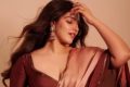 6 மொழிகளில் உருவாகும் திரைப்படம் ‘சிலந்தி-2’