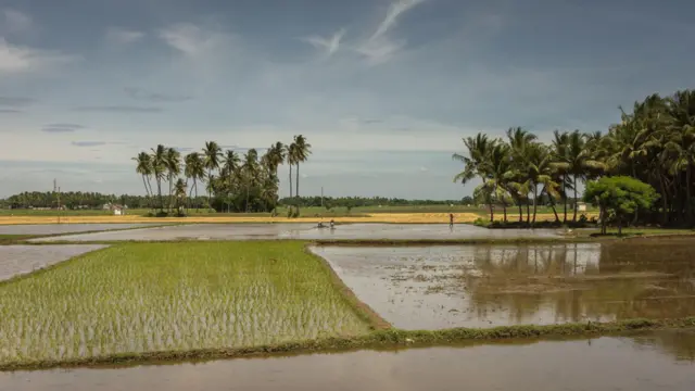 பெங்களூரு, கோதாவரி-காவிரி, நதிகள், தமிழ்நாடு, கர்நாடகா