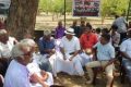 வடக்கில் ஆயிரக்கணக்கான ஏக்கர் தமிழர்களின் காணிகளில் விவசாயம் செய்யும் இராணுவம்