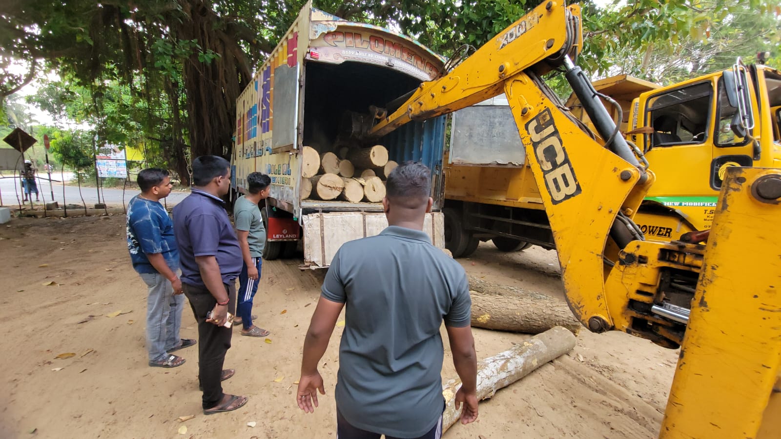 முல்லைத்தீவில் இருந்து 10 இலட்ச ரூபாய் பெறுமதியான முதிரை மரக்குற்றிகளை யாழ்ப்பாணத்திற்கு கடத்தி வந்தவர் கைது