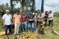 வவுனியாவில் நிலவும் கடும் வெப்பத்தையடுத்து, சுதந்திர இளைஞர்கள் ஏற்பாட்டில் இன்று (24) ஞாயிற்றுக்கிழமை நுங்கு வ