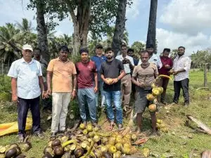 வவுனியாவில் நிலவும் கடும் வெப்பத்தையடுத்து, சுதந்திர இளைஞர்கள் ஏற்பாட்டில் இன்று (24) ஞாயிற்றுக்கிழமை நுங்கு வ