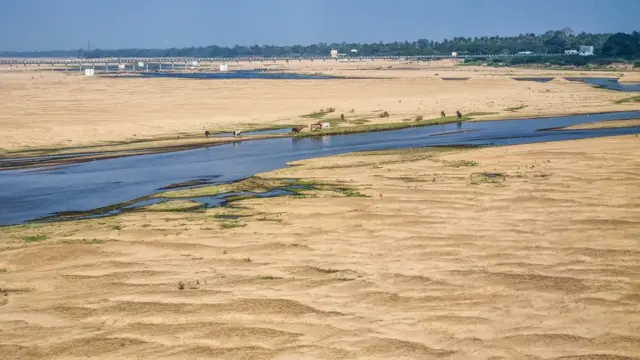 2050ல் காவிரியில் நீரோட்டம் குறையும் என்று எச்சரிக்கும் புதிய ஆய்வு – எந்தெந்த பகுதிகள் பாதிக்கப்படும்?