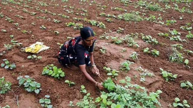 அந்நியச் செலாவணி கையிருப்பு, பணவீக்கம், பிரதமர் நரேந்திர மோடி, ஹோர்முஸ் நீரிணை, எண்ணெய் மற்றும் எரிவாயு தட்டுப்பாடு, சமையல் எரிவாயு சிலிண்டர், பெட்ரோல் விலை, டீசல் விலை, அமெரிக்க டாலர்