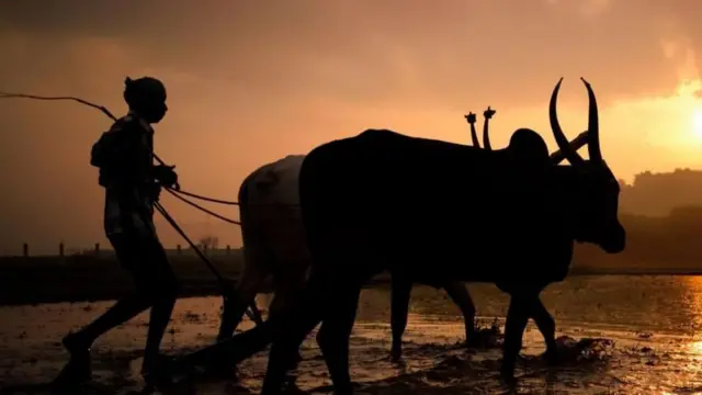 பயிர்க்கடன் தள்ளுபடி, முதலமைச்சர் விஜய், விவசாயிகள்