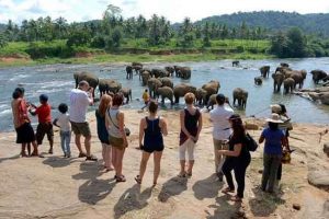 நடப்பாண்டில் இதுவரை 9 இலட்சம் சுற்றுலாப் பயணிகள் வருகை