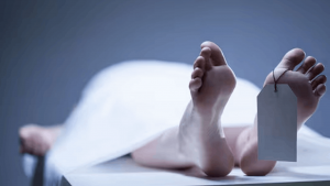 திருக்கோவில் வட்டமடு பகுதியில் காட்டு யானை தாக்கியதில் ஒருவர் உயிரிழந்துள்ளதாக பொலிஸார் தெரிவித்துள்ளனர். உனாவ