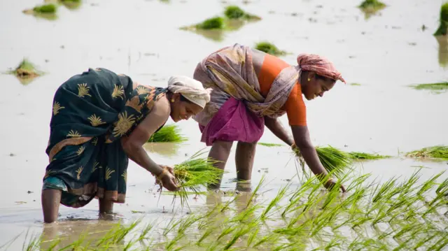 பயிர்க்கடன் தள்ளுபடி யாருக்கு எவ்வளவு? தமிழ்நாடு அரசு அறிவிப்பு முழு விவரம்