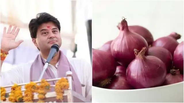 பாக்கெட்டில் வெங்காயம் இருந்தால் சுட்டெரிக்கும் வெயில் உங்களை ஒன்றும் செய்யாதா? அமைச்சர் யோசனையும் அறிவியல் உண்மையும்