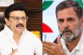 திமுக-காங்கிரஸ் கூட்டணி டமால்?  விஜய்க்காக இடதுசாரி தலைவர்களுடன் பேசும் ராகுல்