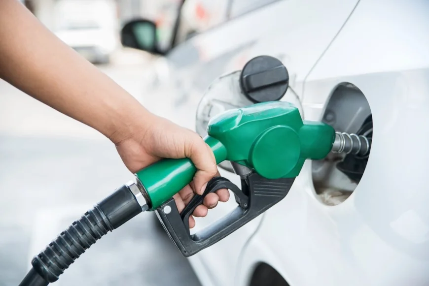 இலங்கையில் டீசல் விலையை லிட்டருக்கு ரூ.600 ஆக உயர்த்த வேண்டும் எனப் பொருளாதார ஆய்வாளர் தனநாத்