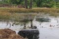 வவுனியா, ஆசிக்குளம் கிராம அலுவலர் பிரிவுக்குட்பட்ட பகுதியில் சுமார் 50 வருடங்களுக்கும் மேற்பட்ட பழமை வாய்ந்த