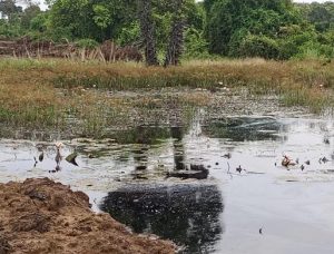 வவுனியா, ஆசிக்குளம் கிராம அலுவலர் பிரிவுக்குட்பட்ட பகுதியில் சுமார் 50 வருடங்களுக்கும் மேற்பட்ட பழமை வாய்ந்த