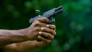 உயிர்ப் பாதுகாப்புக்காகத் துப்பாக்கி அனுமதிப்பத்திரம் பெற்றுள்ள நபர்களுக்காக, பாதுகாப்புச் சபையின் அறிவுறுத்தல