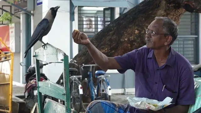 ரிக்ஷா தொழிலாளி செல்வராஜ் மற்றும் அவரிடம் நெருங்கிப் பழகும் அவரால் மீட்கப்பட்ட காகம்